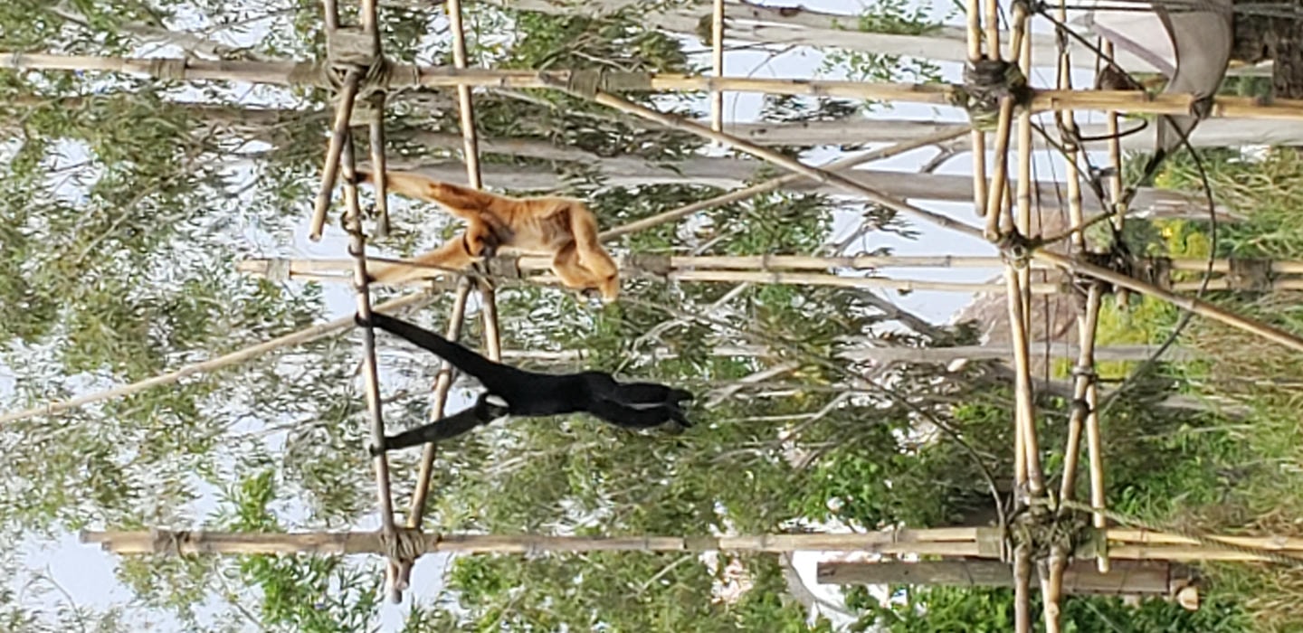 phone pics from florida